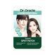 Dr. Oracle Terpinac Spot Patch 2031 фото 1